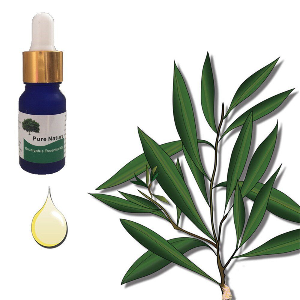 10 Days reduce 15kg Banana Slimming Essential oil anti cellulite Fat Burning Weight Loss pepper extracts 10ml 10 Days reduce 15kg Banana Slimming Essential oil anti cellulite Fat Burning Weight Loss pepper extracts 10ml