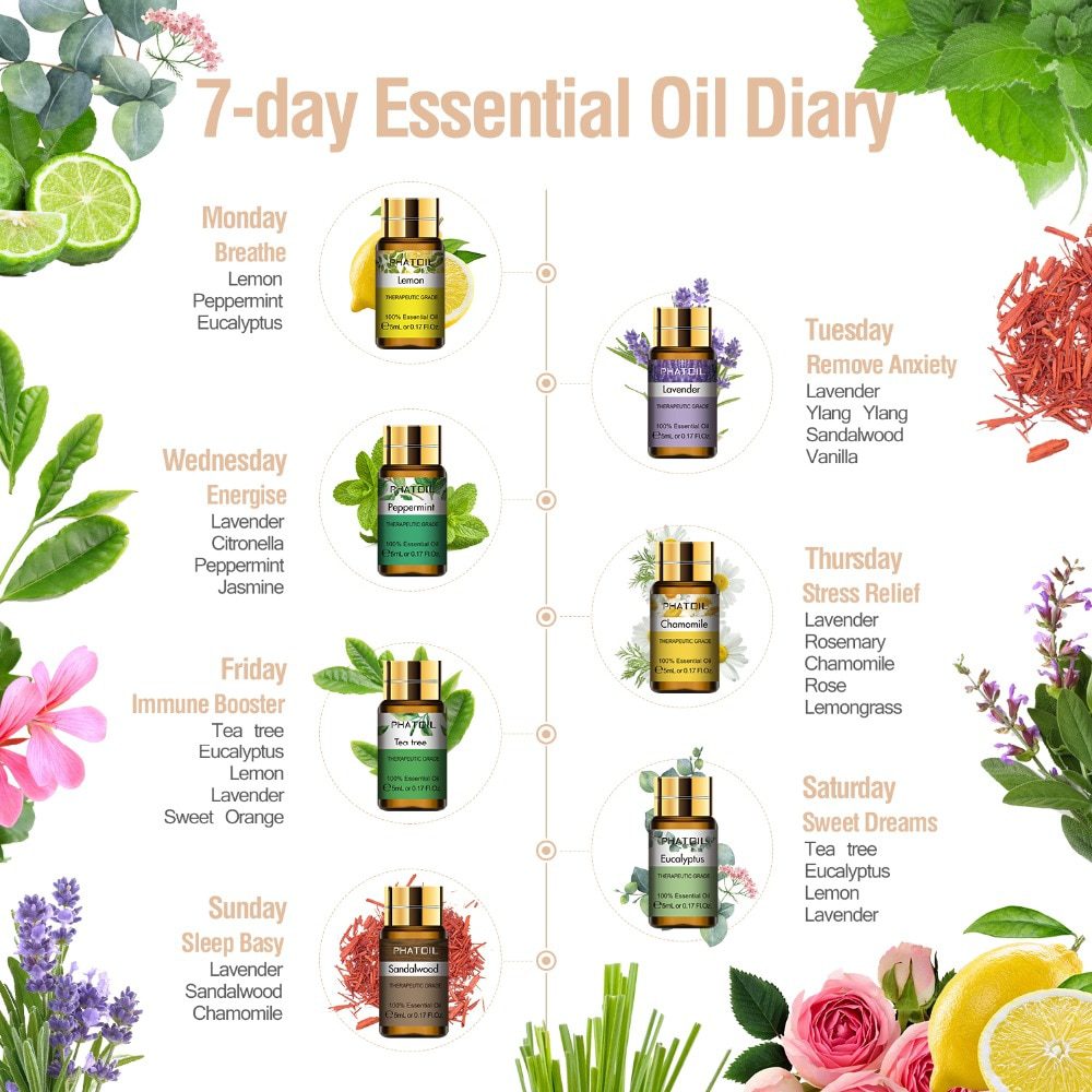Pure Essential Oils 15pcs Gift Set Natural Plant Aroma Essential Oil Diffuser Eucalyptus Vanilla Mint Geranium Rose Tea Tree Oil Pure Essential Oils 15pcs Gift Set Natural Plant Aroma Essential Oil Diffuser Eucalyptus Vanilla Mint Geranium Rose Tea Tree Oil